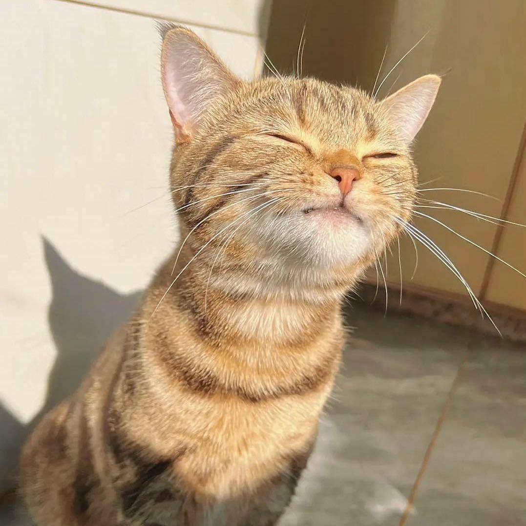 我讨厌取名字。