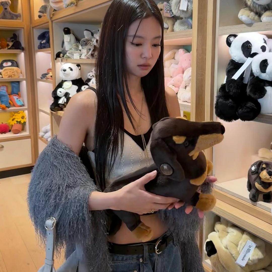 我爱睡觉💤