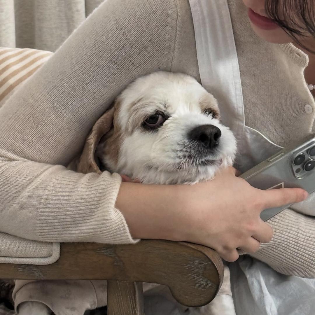 金丫在韩女装