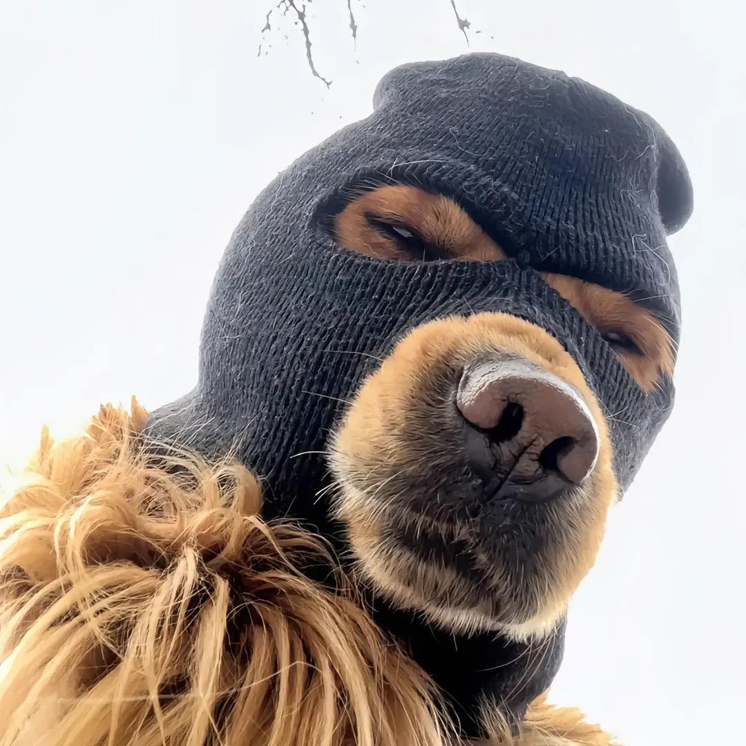 王桑，故乡的樱花开了吗？