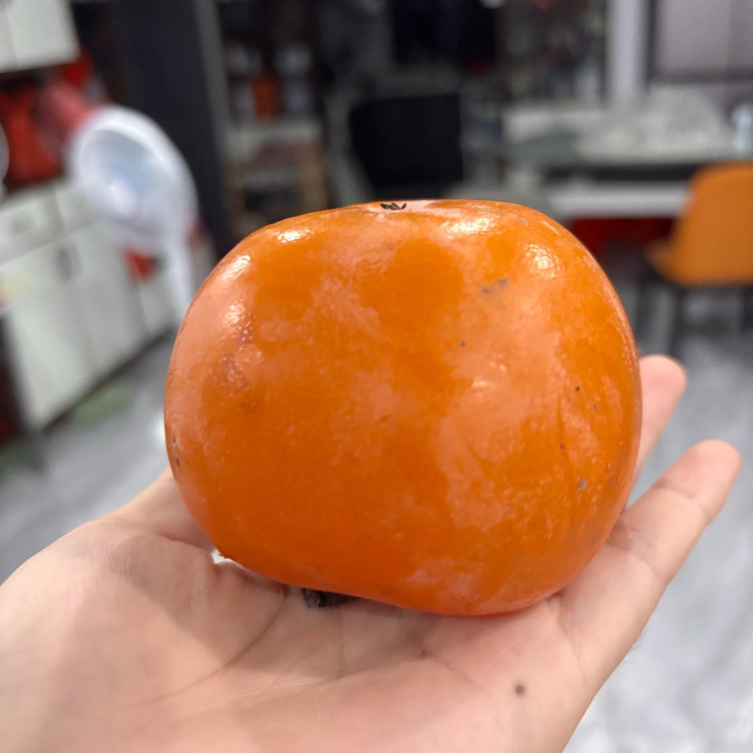 珍惜当下