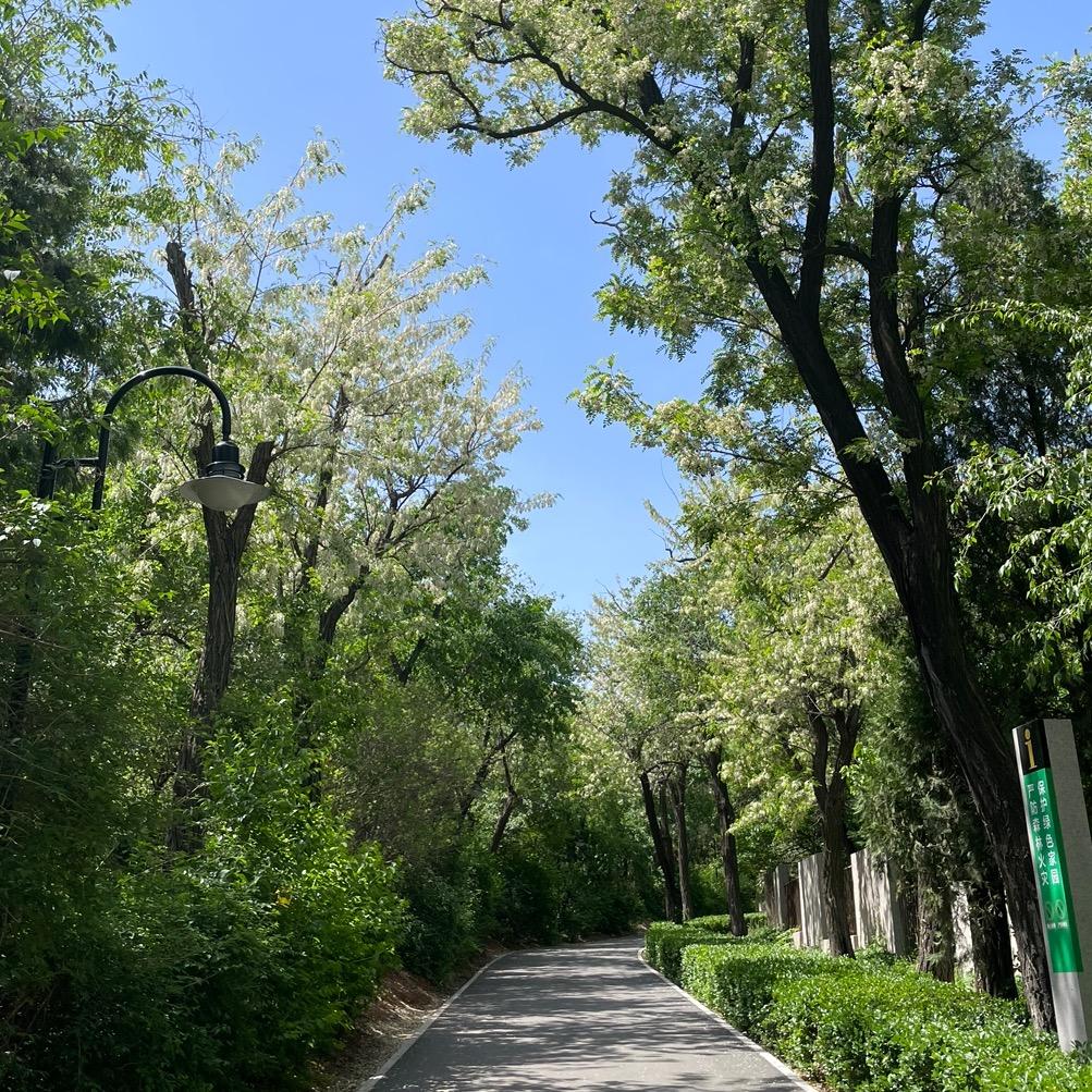 私语的世界