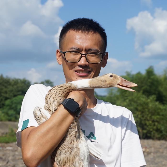 路鸭儿
