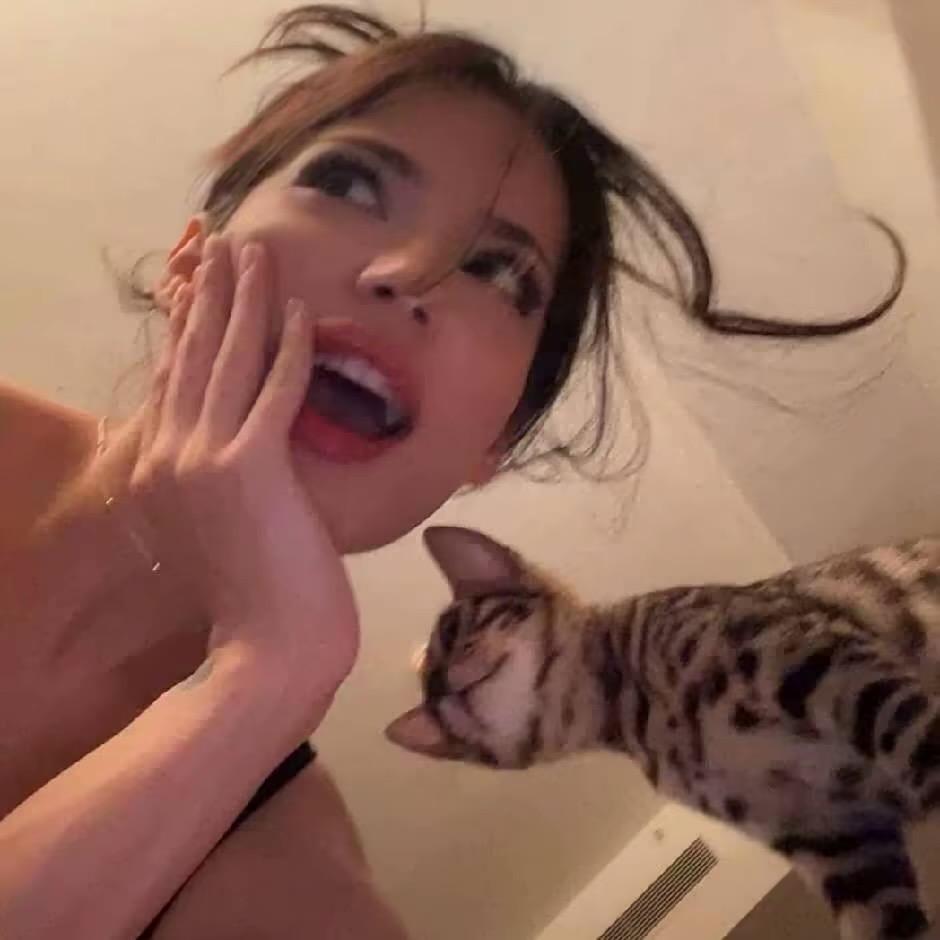 -锦婕