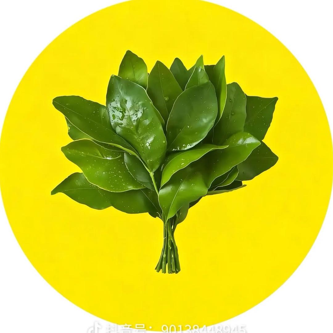 雷老二 《铁汉柔情》