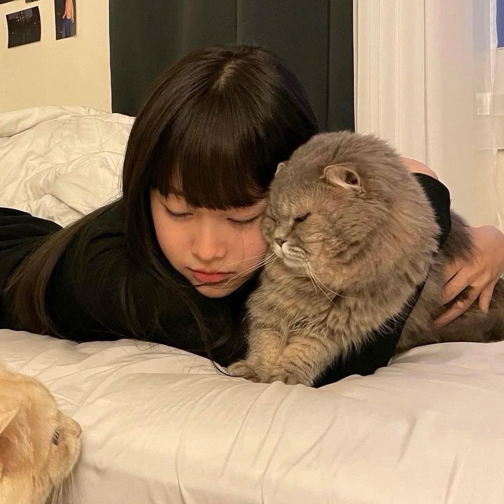 芋圆猪🐷️