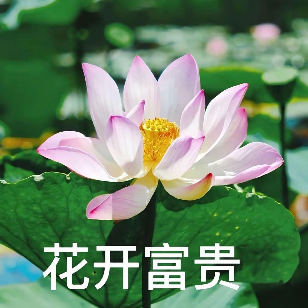 糟糕咋又饿了