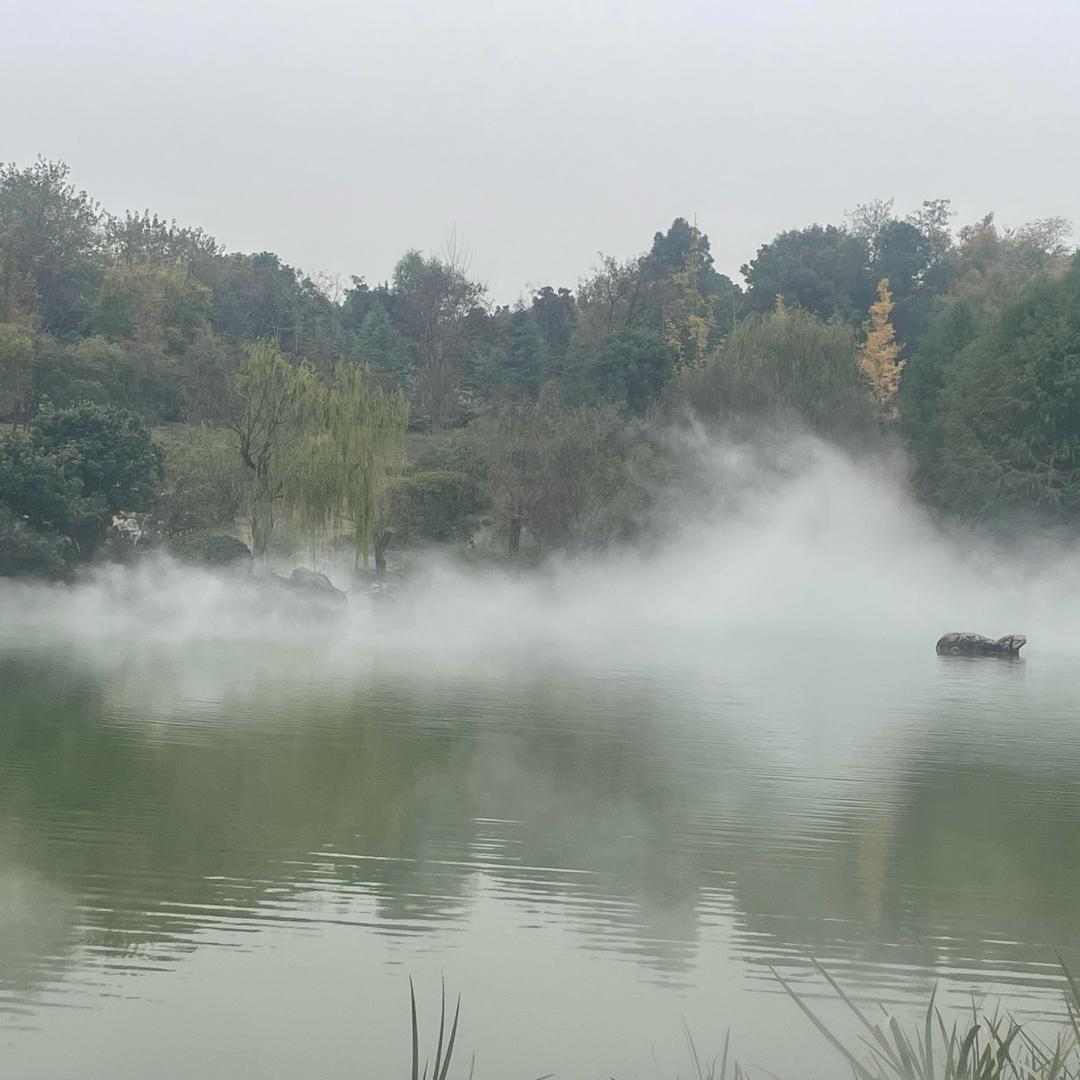 我命由我不由天