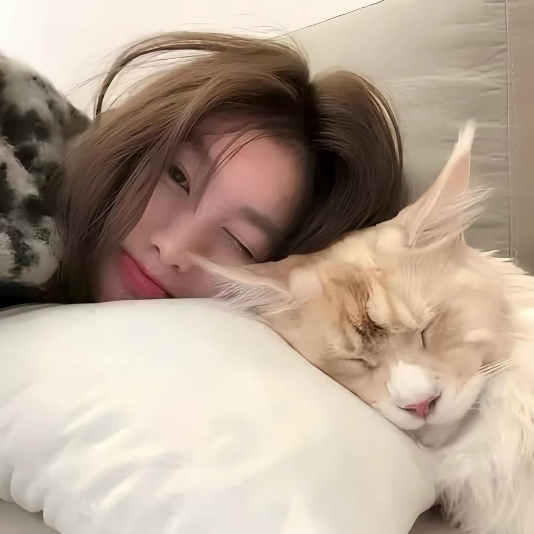 ㅤㅤㅤ我吃饭的时候不饿