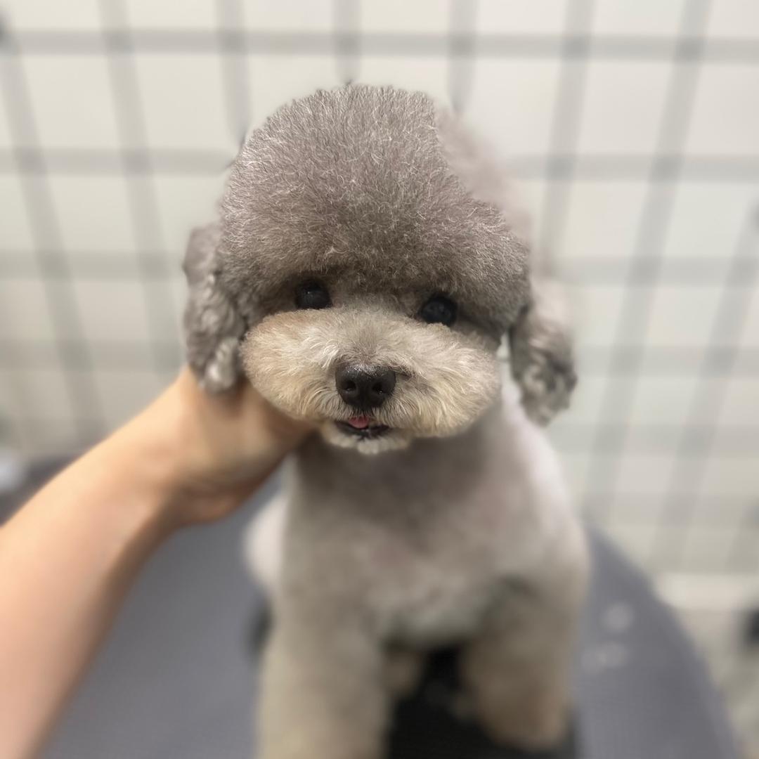 邦倪#