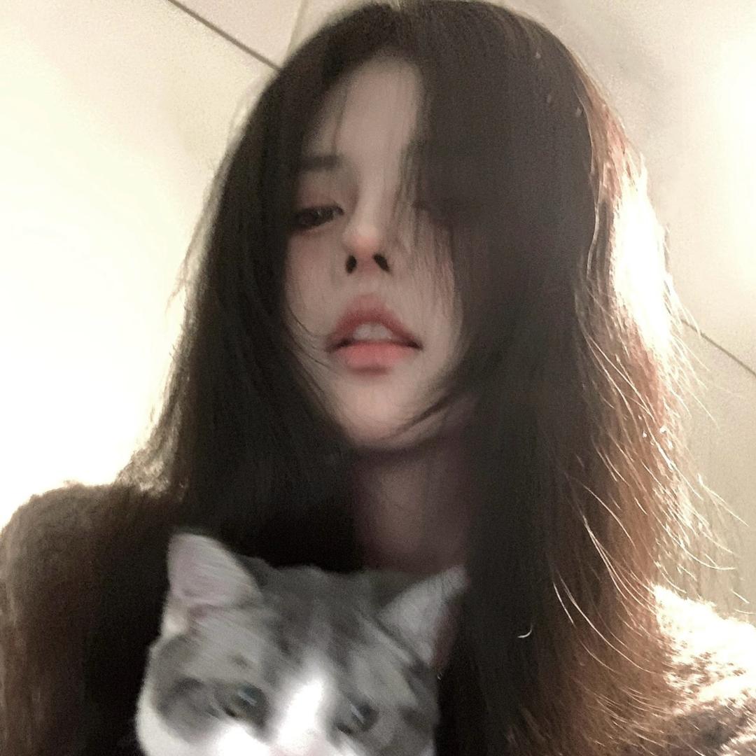 一只猫🐈