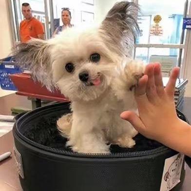 阿贤……