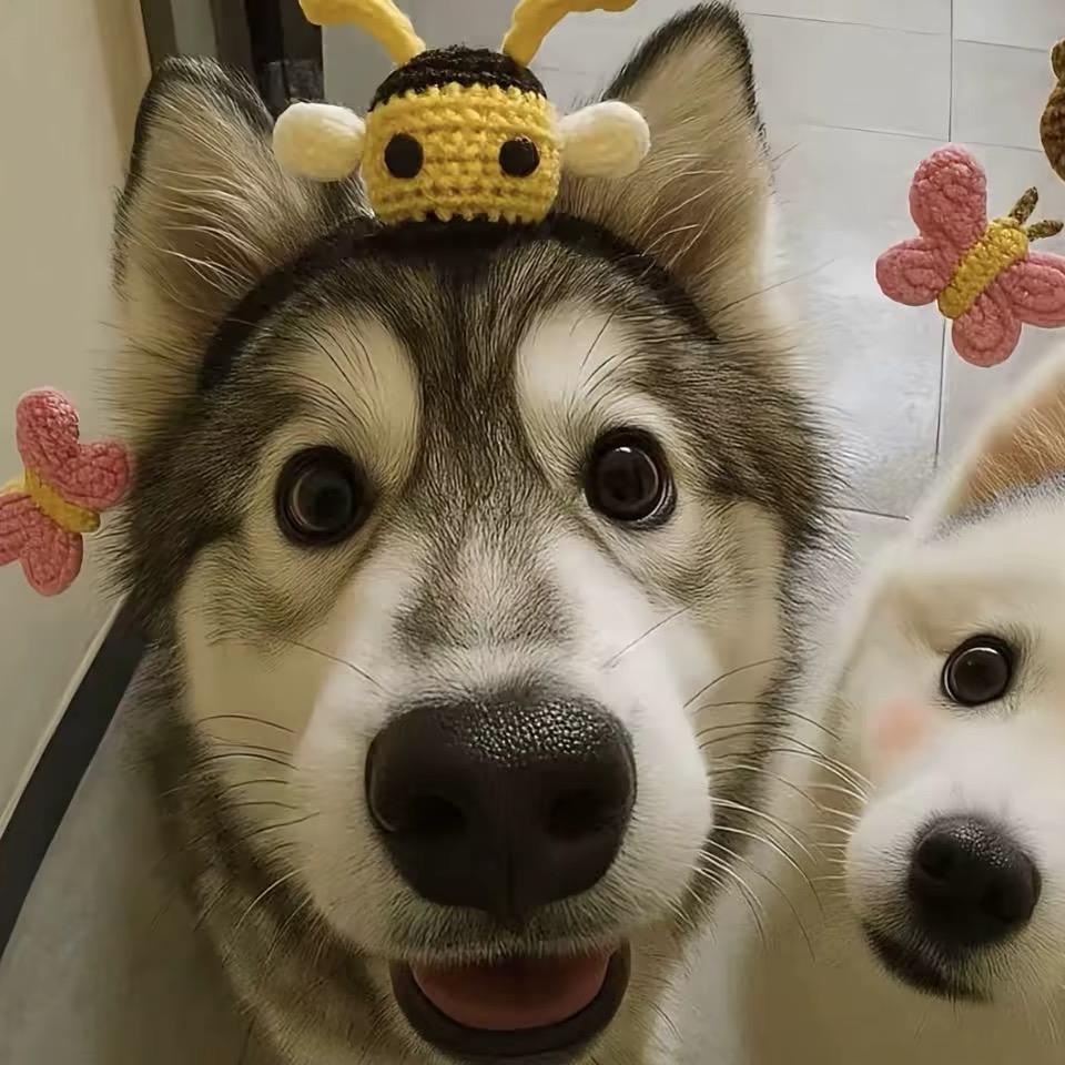 迟到的春天🌸🌸