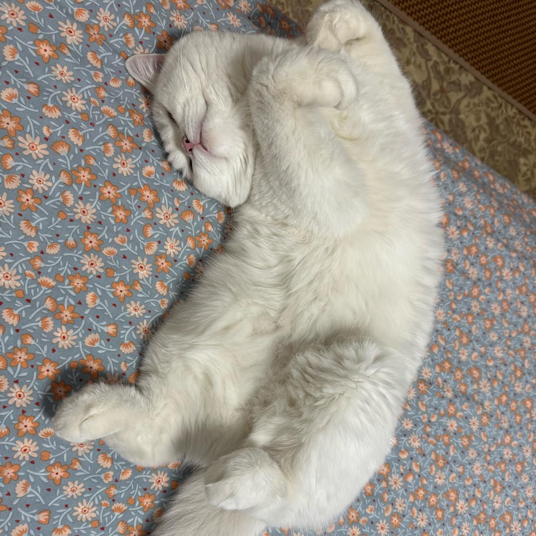 走走道瘦了