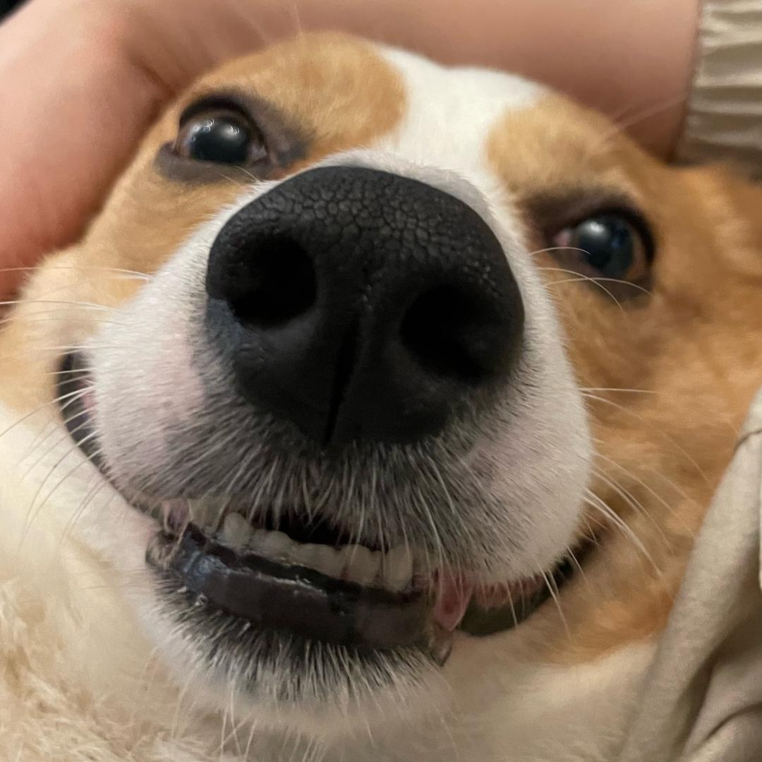 程圈圈