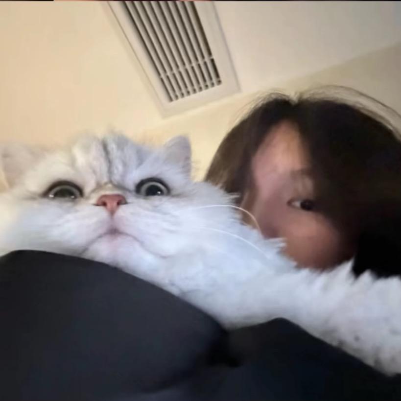小鱼丸.