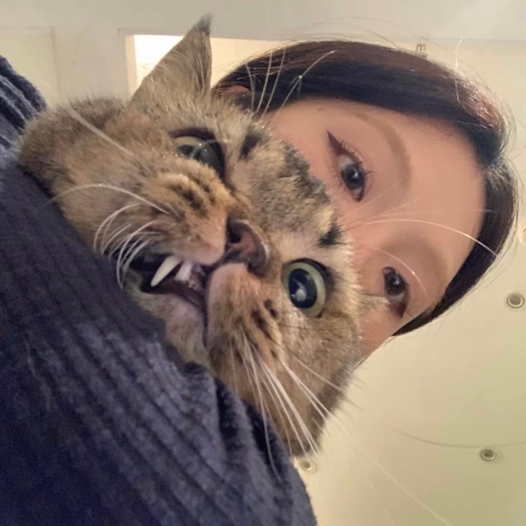 陈美嘉.