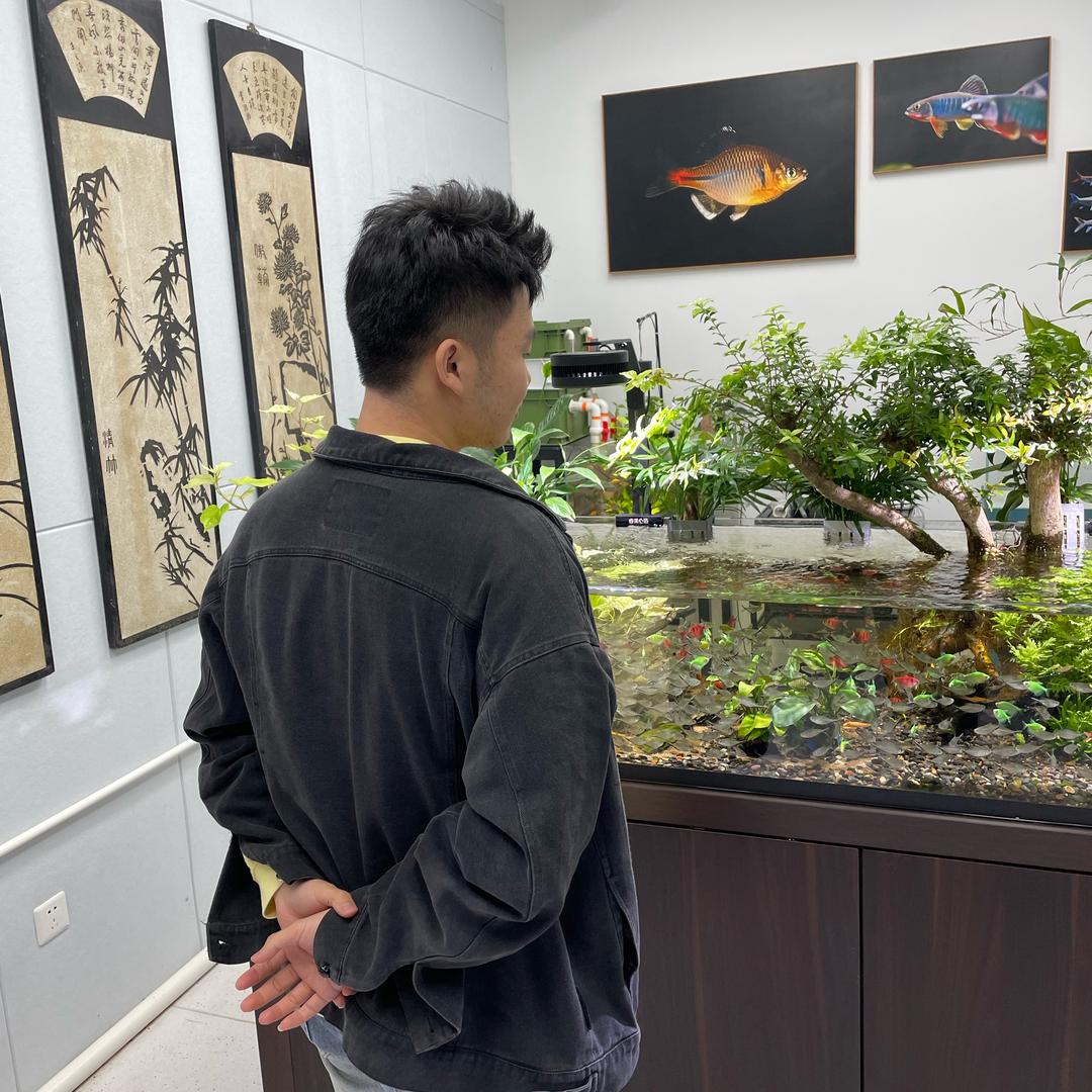 司柠家养鱼王师傅