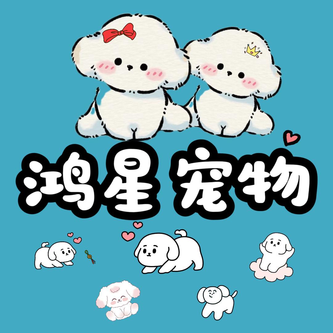 鸿星奢宠韩系比熊