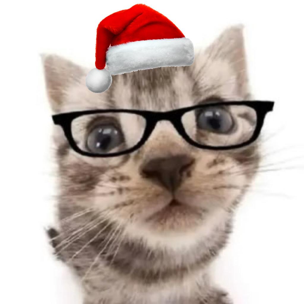 人生短短急个球