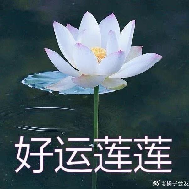 好运连连