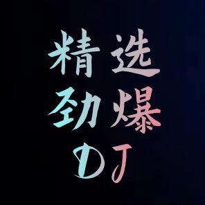 车载音乐（橱窗可下单）