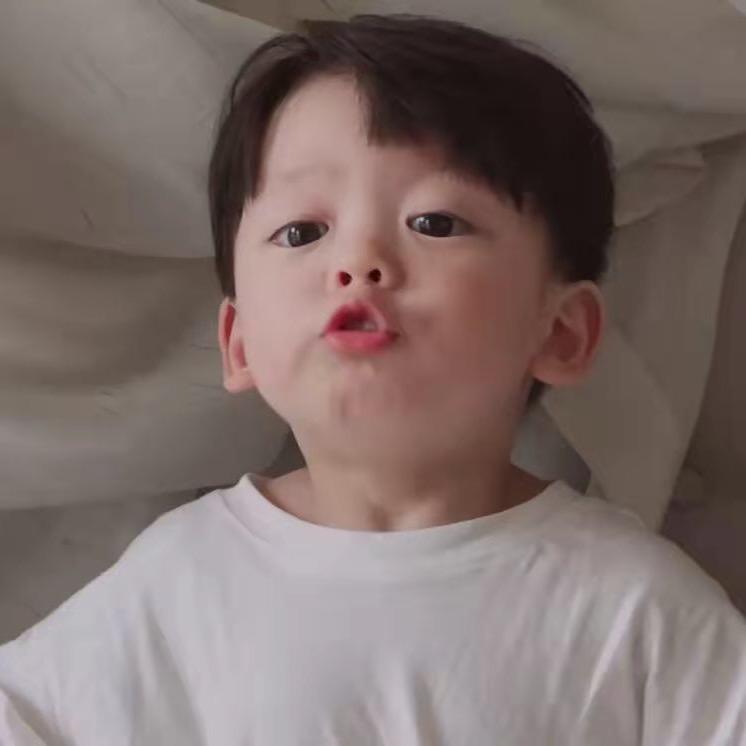 来福是喵🐱不是🐶