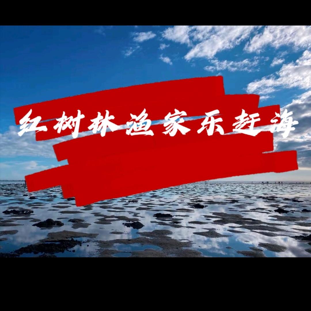 红树林渔家乐赶海