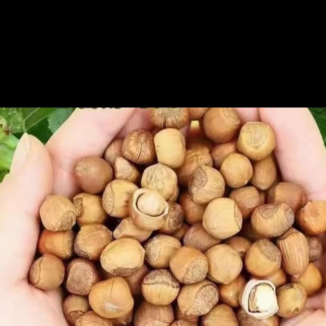 鑫源优选东北特产店