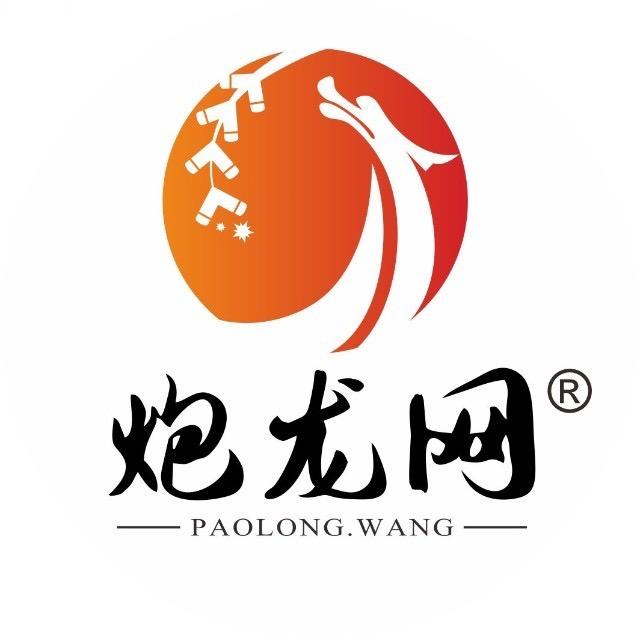 宾阳炮龙网