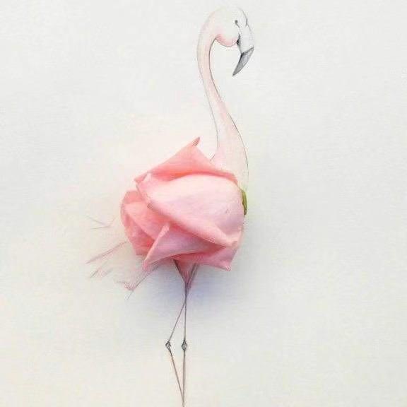 晓尧