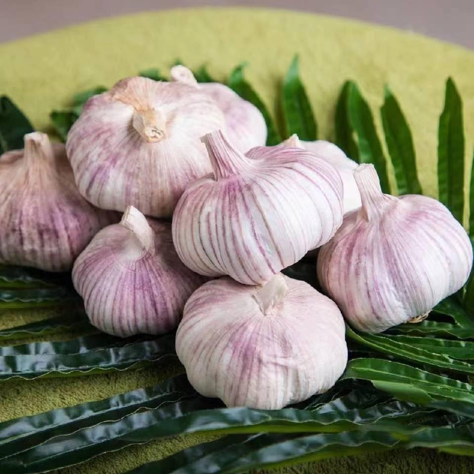 蒜大大生鲜甄选