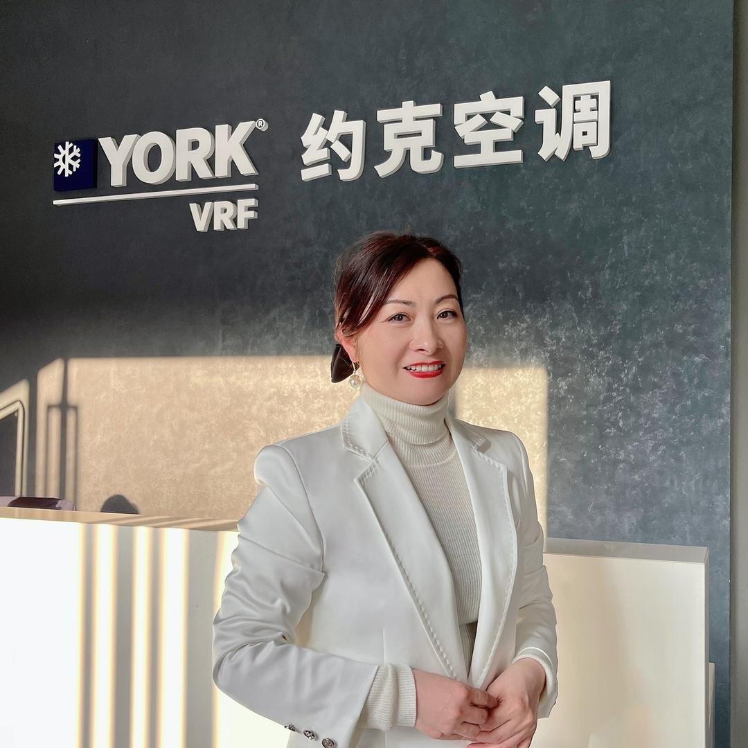 阿娇～湘潭约克VRF中央空调