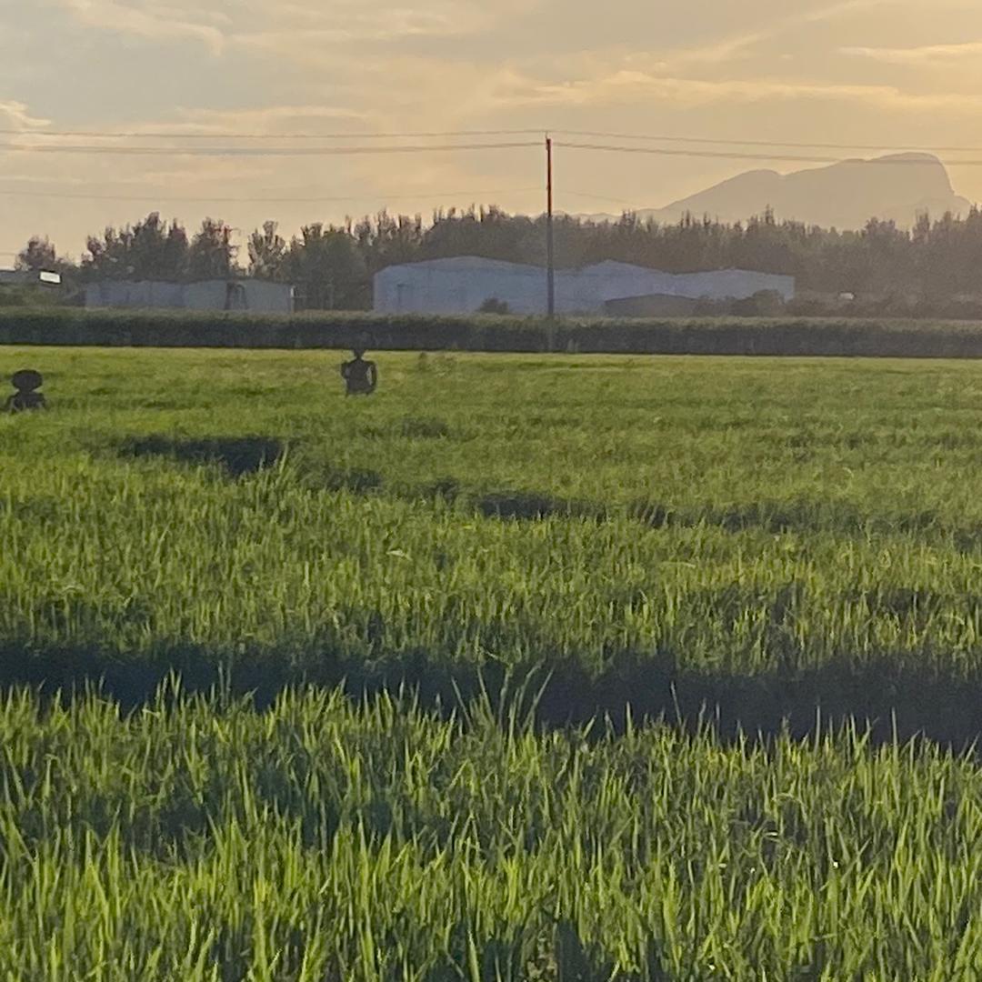 小艳的农村生活