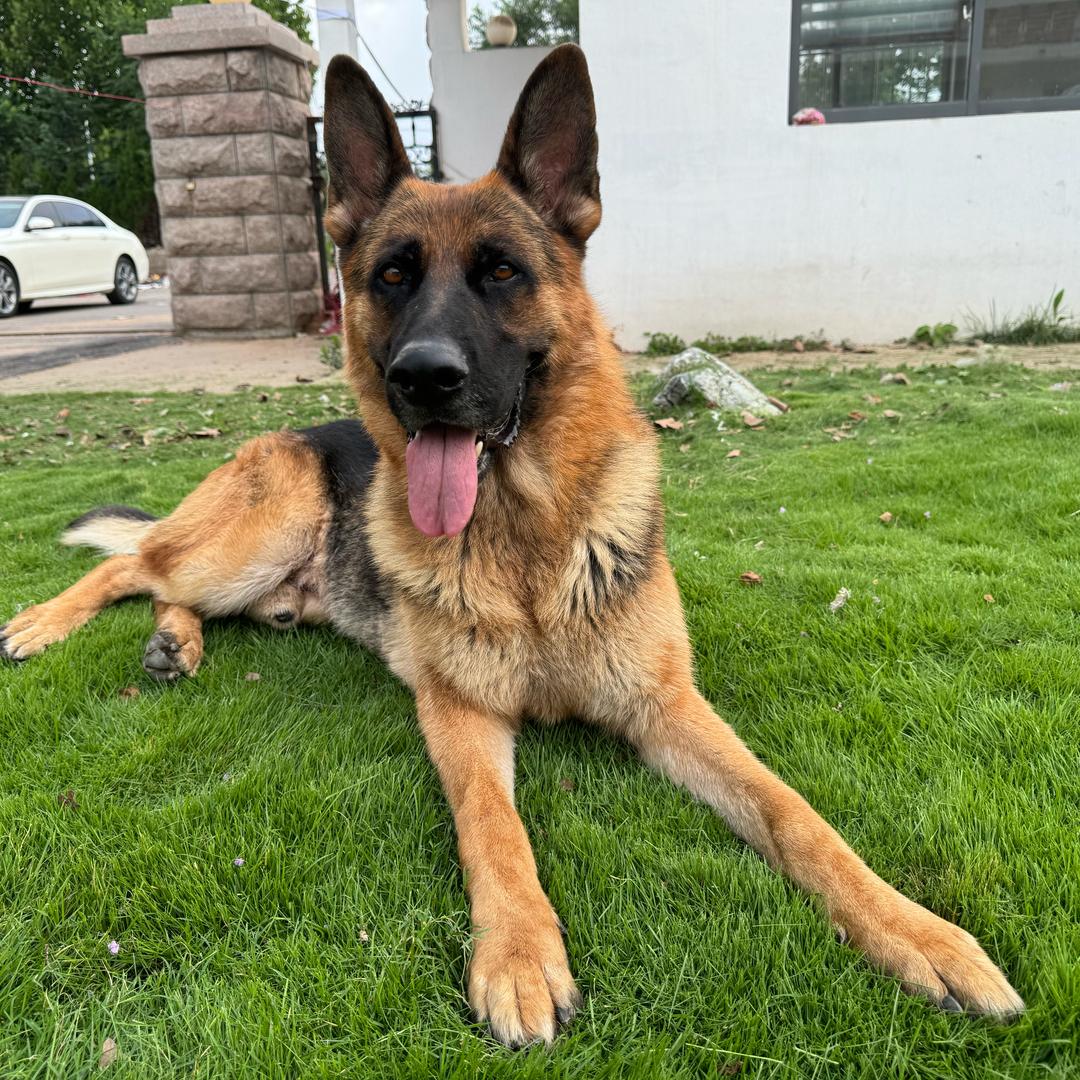 李铁锤和李富贵