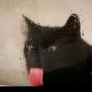 小捞板回手掏～鬼刀一开走位走位哈哈哈难受