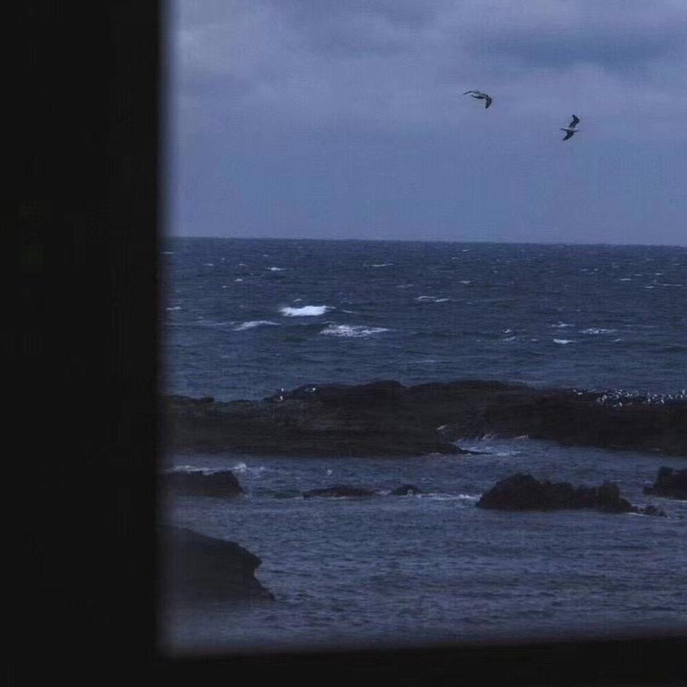 -白日梦想家-