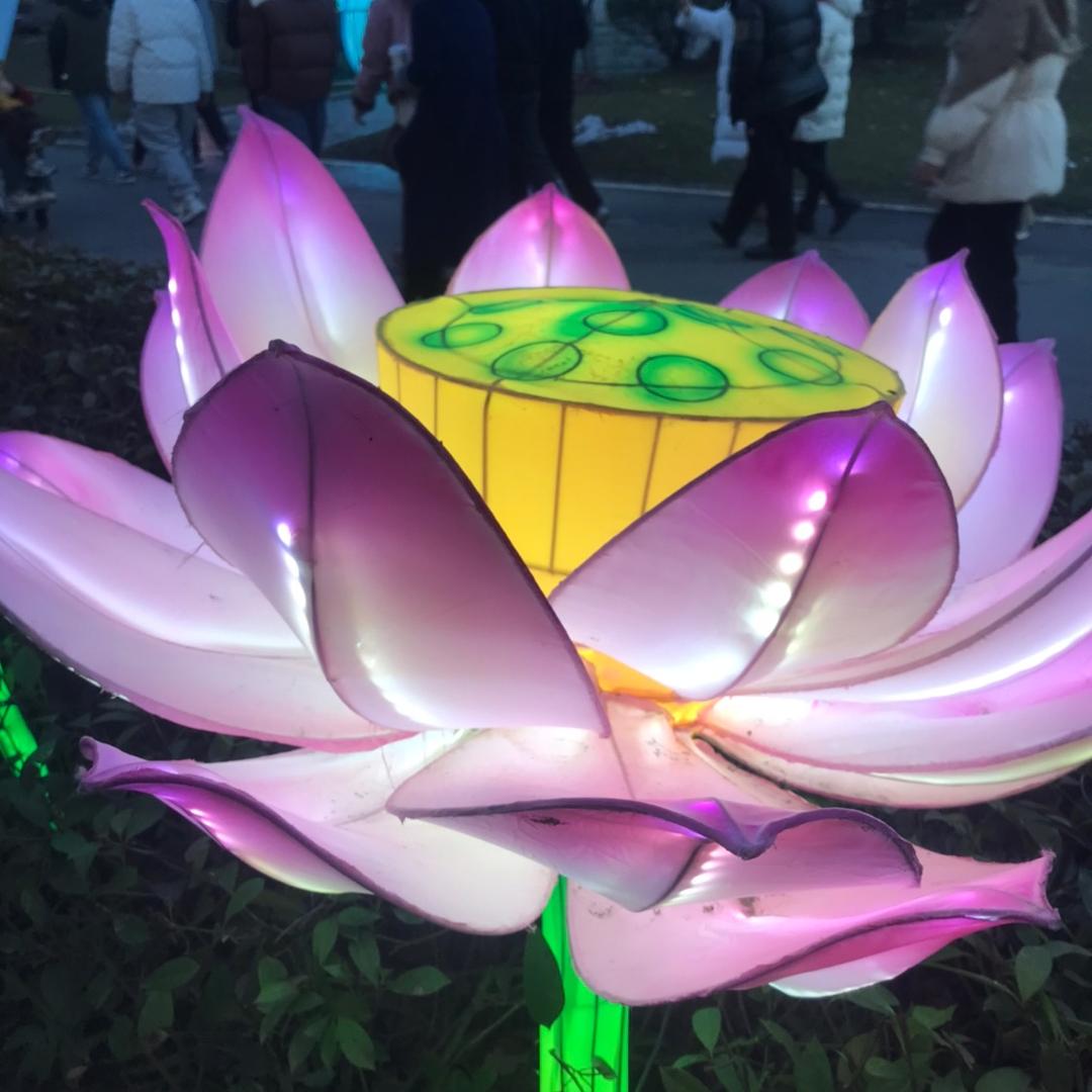 岁月静好安暖相伴