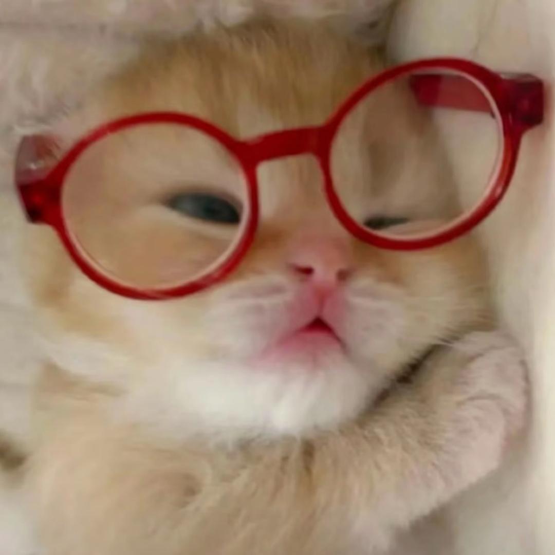 人生百味
