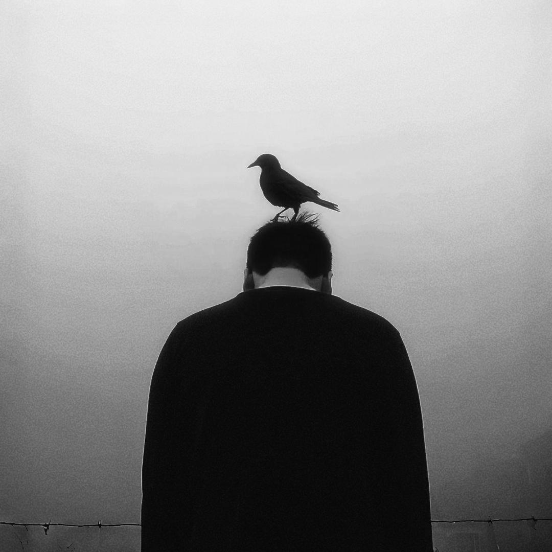 J.N