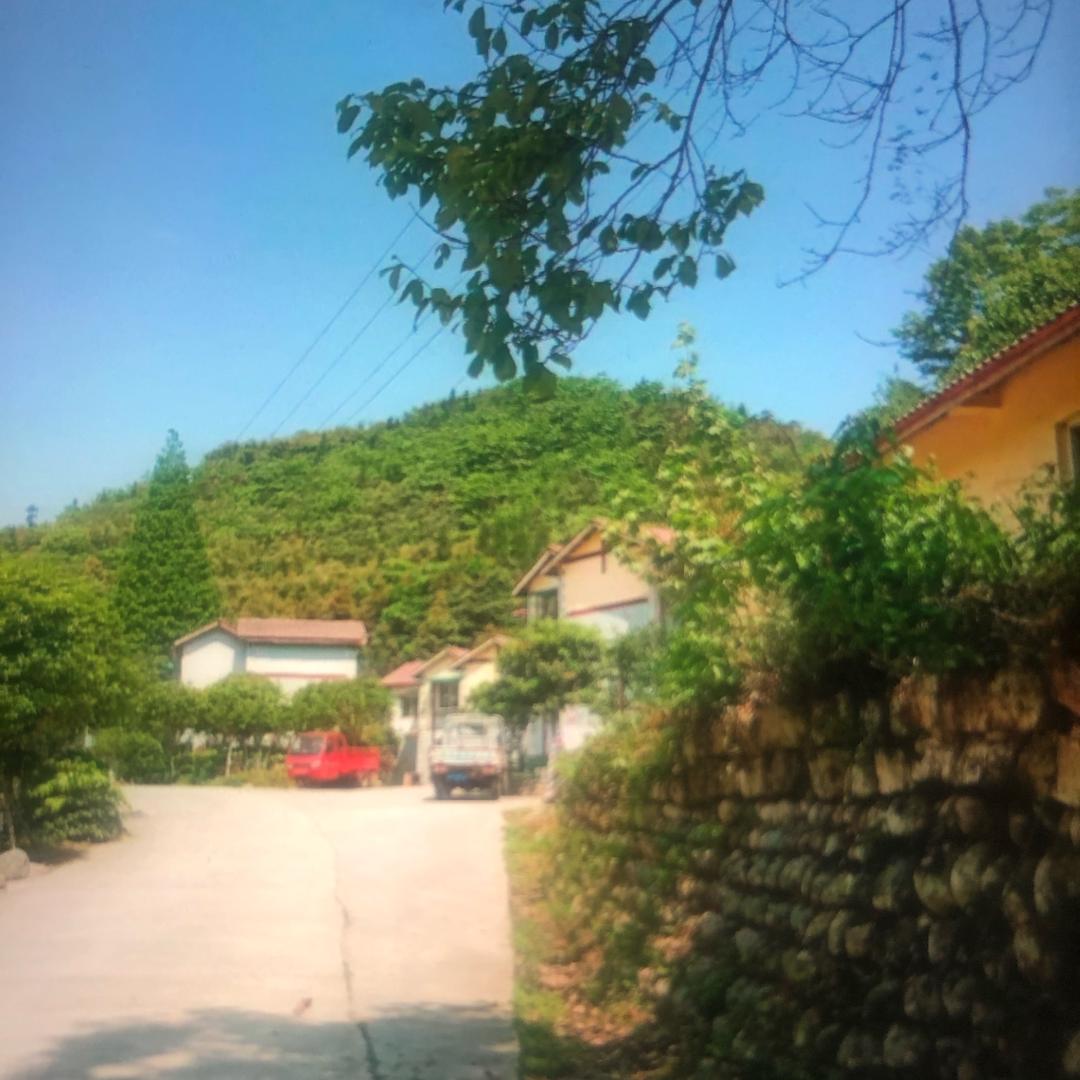习惯了你的冷漠