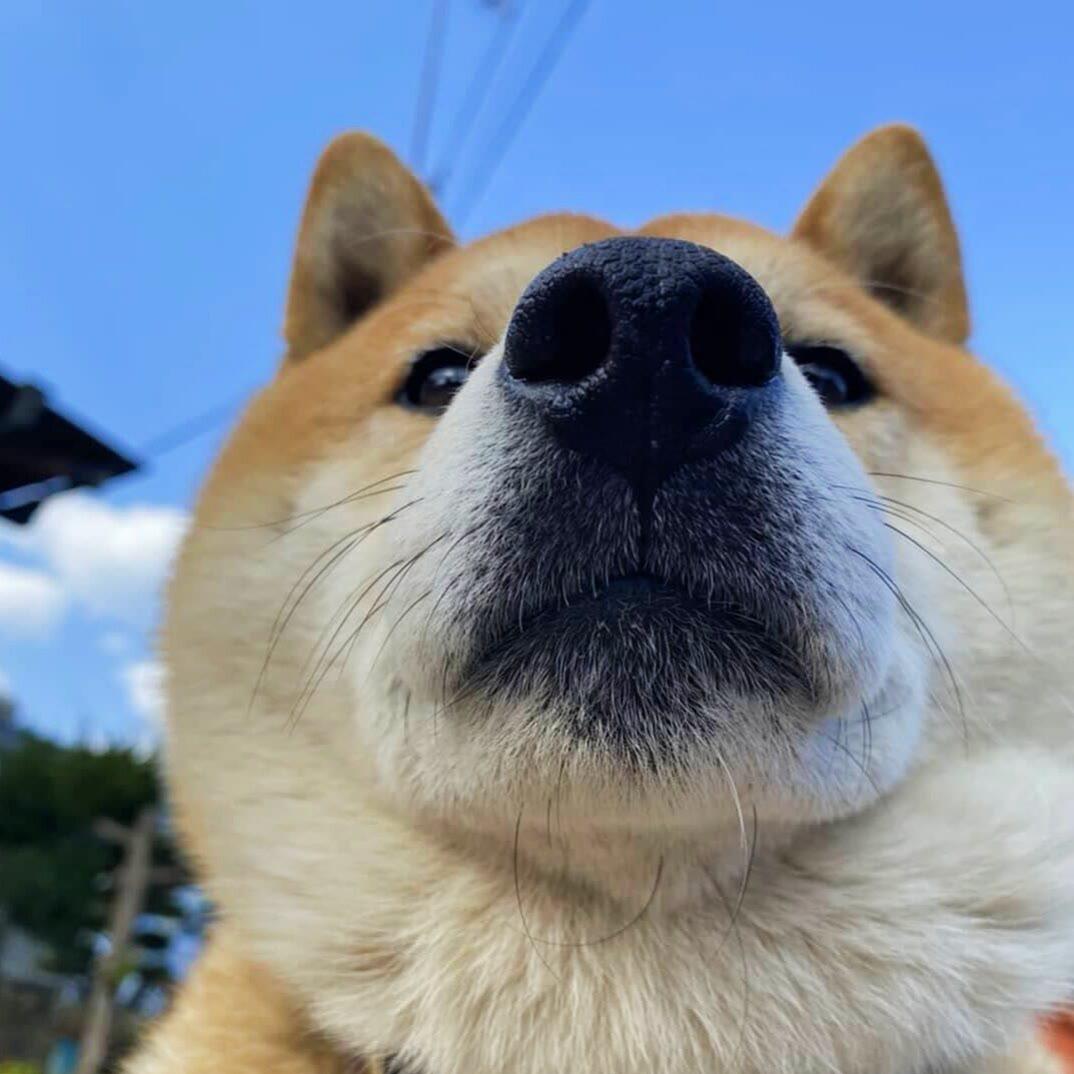 星期天