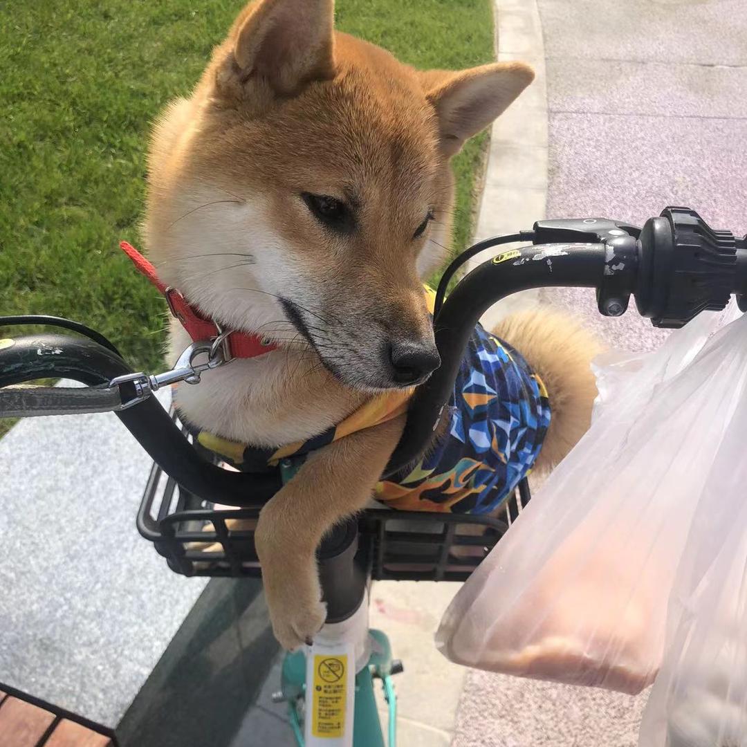 乔姐