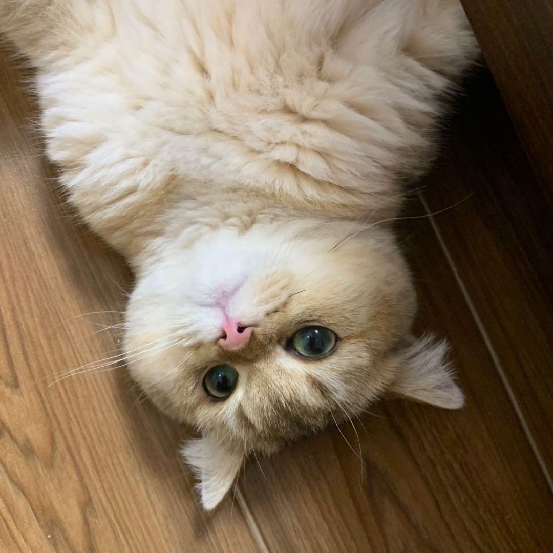 嘉vi/•᷅•᷄\୭