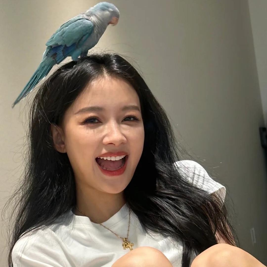 魏了个饱饱