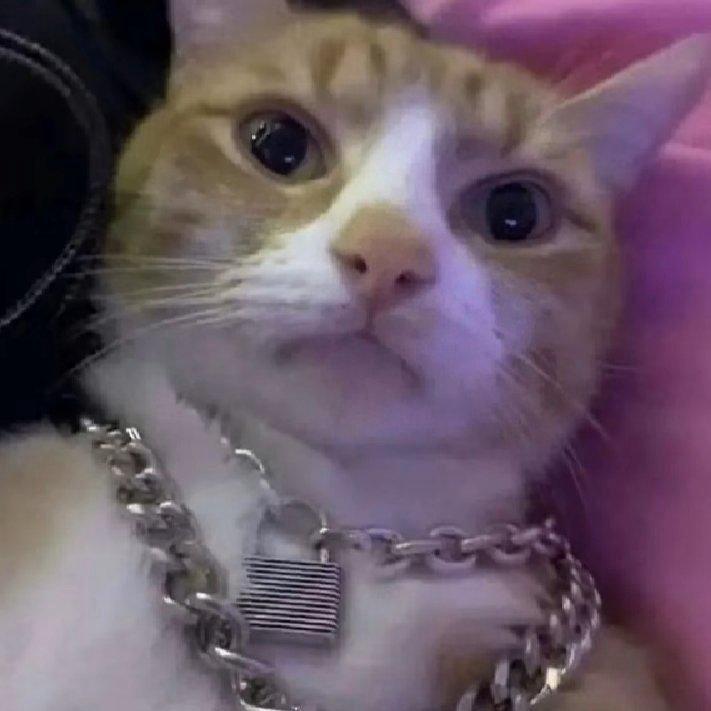 弗得