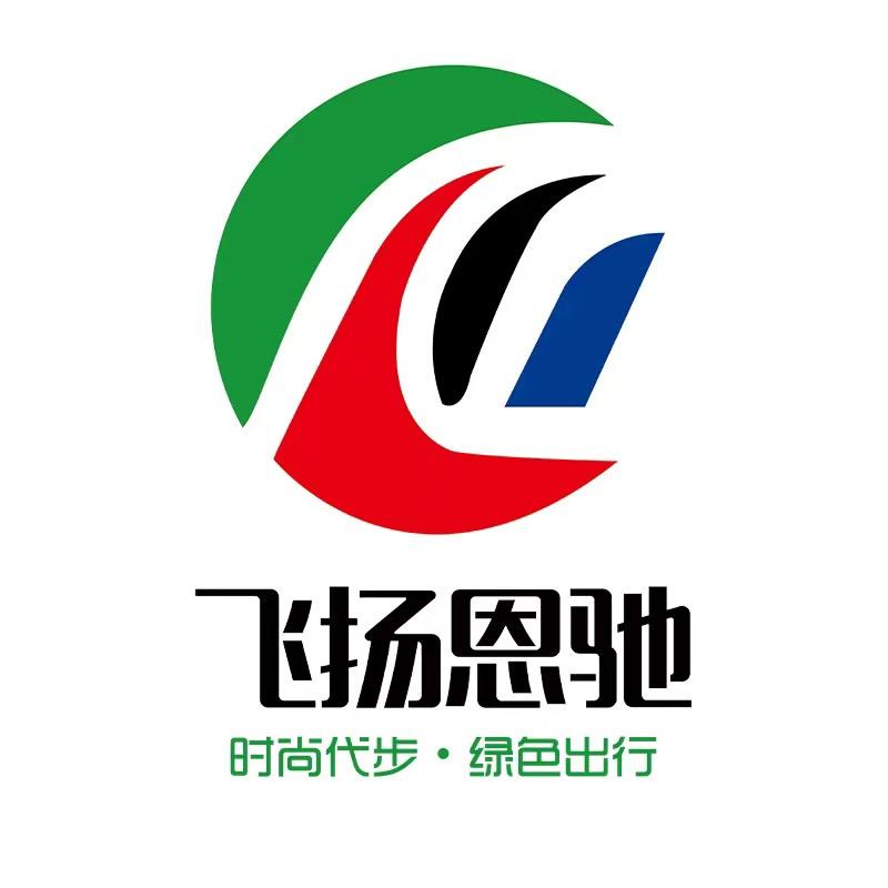 飞扬恩驰新能源颍上店