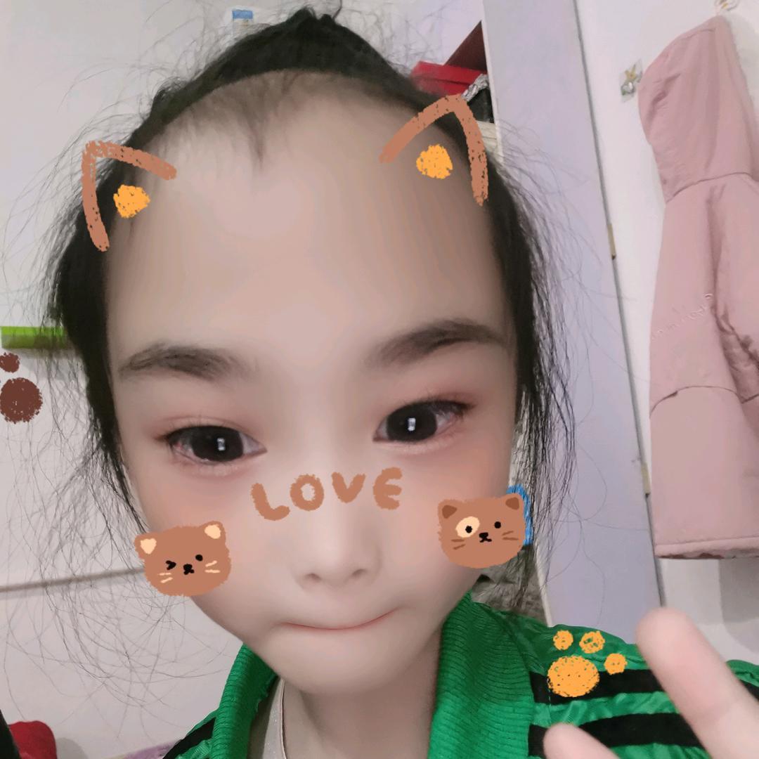 💫呆呆猪