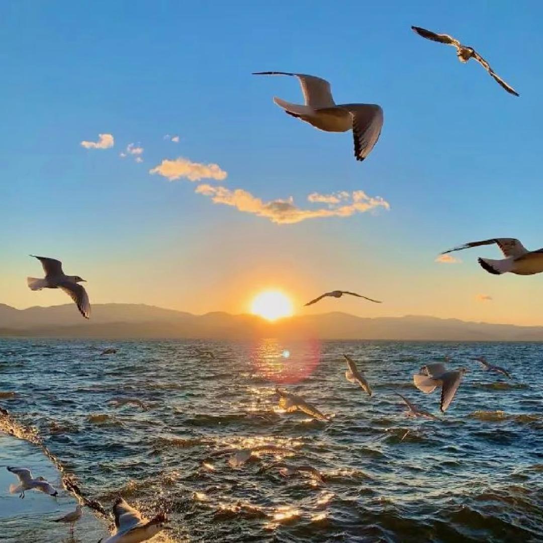 海浪呀