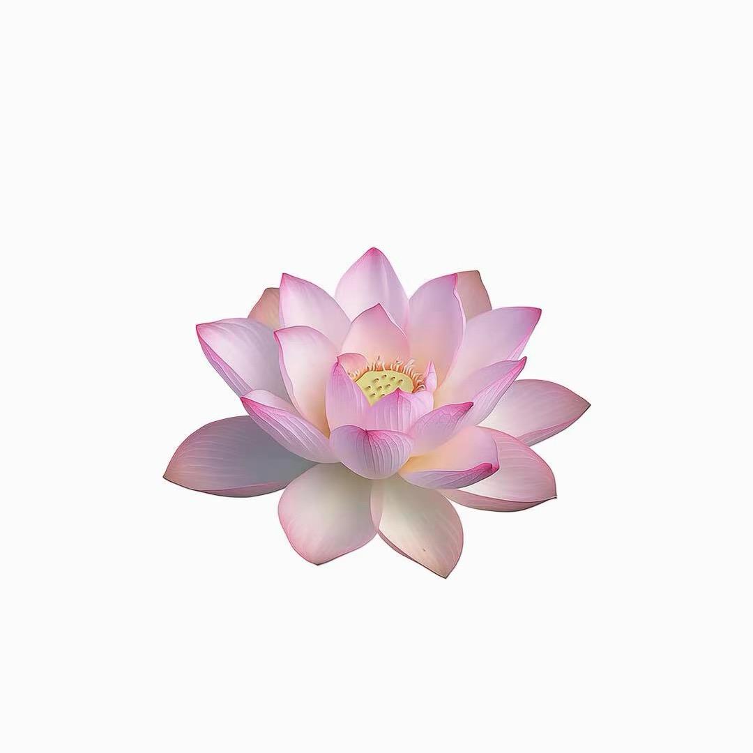 李细心